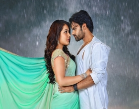 Supreme success meet